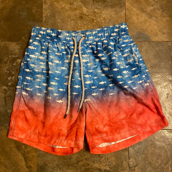 The Endless Summer Mens Swim Trunks - Picture 2 of 5